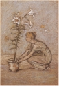 
                The Lily, 1870/1872, Freer Gallery of Art