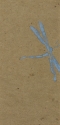 
                v.: Dragonfly, Fogg Art Museum