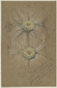 
                Study of Rosettes for Lady's Dress, Fogg Art Museum