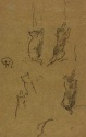 
                Kittens, The Hunterian