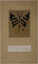 
                Design for a butterfly, British Museum