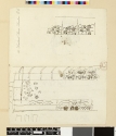 Peacock designs; (a) feathers on panel; (b) plan of ceiling, British
Museum