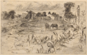 
                Landscape with Horses, etching, The Hunterian, GLAHA 46725