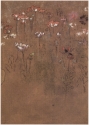 
                    Studies of poppies, Private Collection