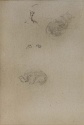 
                r.: Studies of a sleeping cat, The Hunterian