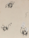 
                Three Butterflies, Freer Gallery of Art