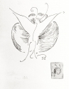 
                r.: Butterfly, Library of Congress