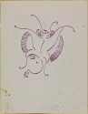 
                r.: Butterfly, The Hunterian