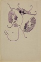 
                Butterfly, The Hunterian