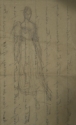 Study for a portrait of Miss Marion Peck, Gasgow University Library