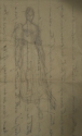 
                    Study for a portrait of Miss Marion Peck, Gasgow University Library