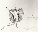 
                r.: Butterfly for 'Noblesse abuse', Glasgow University Library