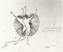 
                    r.: Butterfly for 'Noblesse abuse', Glasgow University Library