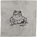 
                    Frog, Library Of Congress