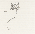   Butterfly, in Eden versus Whistler: The Baronet and the Butterfly, p. xii, Glasgow University Library