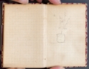 Flowering plant in a pot, sketchbook (back endpaper), The Hunterian