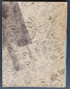 View a larger version of this image Back cover, sketchbook, The Hunterian