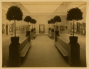 Whistler Memorial Exhibition, Boston 1904, photograph, GUL Whistler PH6-13