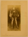 Arrangement in Black, No. 3: Sir Henry Irving as Philip II of Spain, early state, photograph, GUL Whistler PH4/19