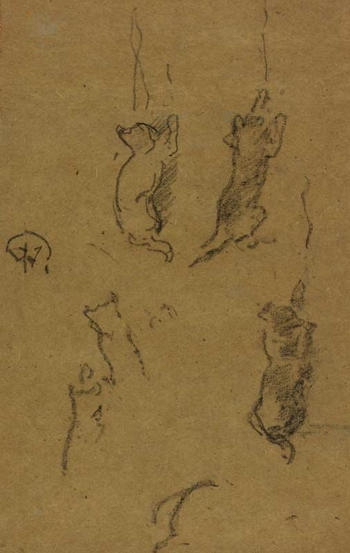 Kittens