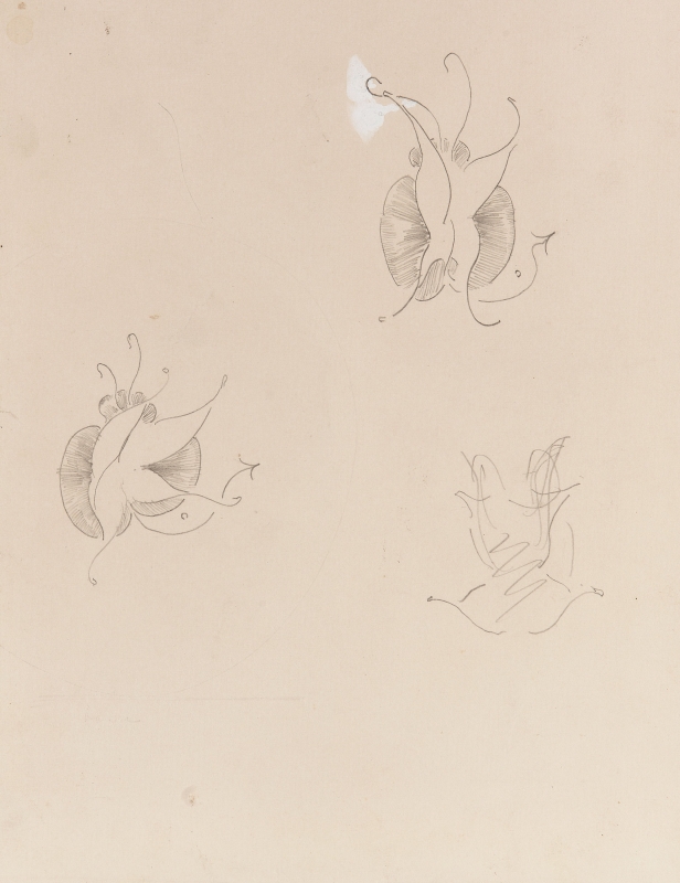 r.: Three butterflies; v.: Four butterflies