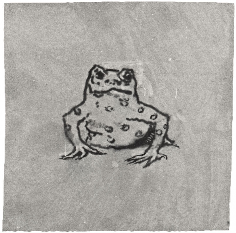 Frog